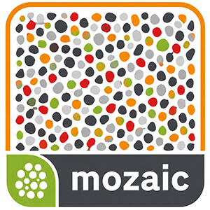 Textură mozaic