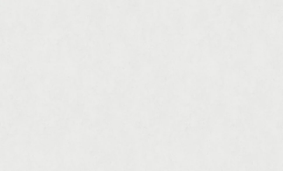 Обои виниловые на флизелиновой основе Wallsecret Bonsai 9157-11, горячее тиснение, моющиеся, 1,06×10,05 м, серые (фон)