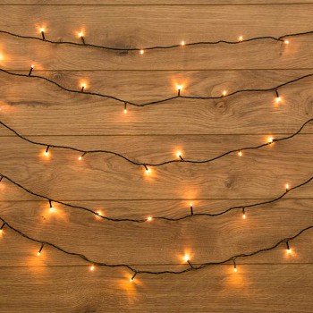 girljanda-svetodiodnaja-neon-night-6-metrov-temno-zelenyjj-provod-iz-pvkh-40-led-teplo-belye-303-026