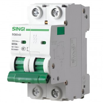 Întrerupător automat SINGI SG65-63 (2P; 16A; C; 6 kA) 02SG65C16
