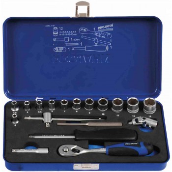 Set cap chei tubulare Projahn 1/4", 18 bucăți (art. 4101)