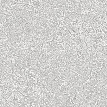 oboi-flizelinovye-new-age-gorjachee-tisnenie-1-06kh10-m-na8762-21