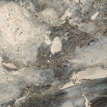 Gresie porțelanată pentru podea QSEC Forest Polished gri 600x1200 mm PEI 3