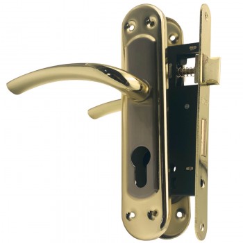 ruchka-vreznojj-zamok-eader-2055-sn-gp-nikel-zoloto