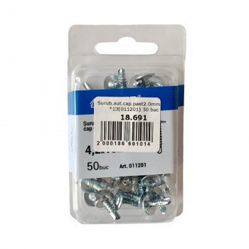 Șurub cu cap plat și șaibă Lider 4.2x13 mm cu burghiu zincat 50 bucăți (Art. 011201)