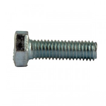 Bulon zincat Lider 10x100 mm din oțel (Art. 156039)