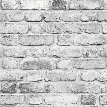 Обои дуплекс на бумажной основе Саратовские Обои С6-886Д Палермо-06 (0,53х10,05 м)