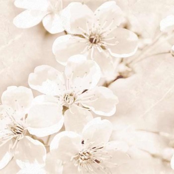 plitka-nastennaja-cersanit-sofi-decor-flower-bezhevyjj-250kh400-mm