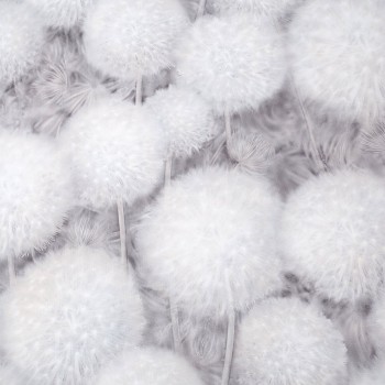 Tapet din flizelină A PALITRA Simple Dandelion Сhiki vinil spumat (1.06x10.05 m) SP71809-14