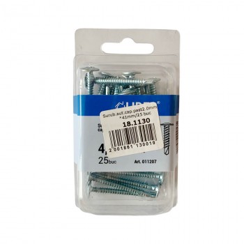 Șurub cu cap plat și șaibă Lider 4.2x41 mm cu burghiu zincat 25 bucăți (Art. 011207)