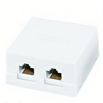 Розетка компьютерная TDM 2xRJ-45 SQ1809-0004