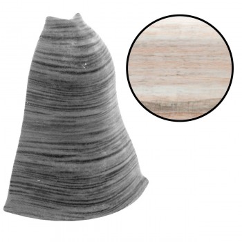 Unghi extern pentru plintă Arbiton LM55 58 Stejar Rustic