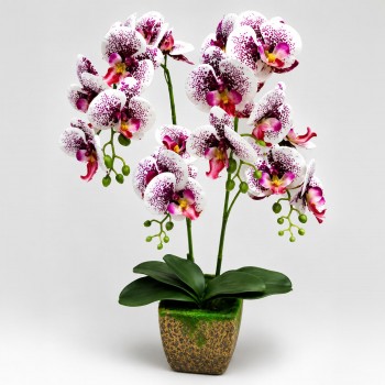 Orhidee artificială DYP6007/4 în ghiveci, alb-bordo, 55 cm