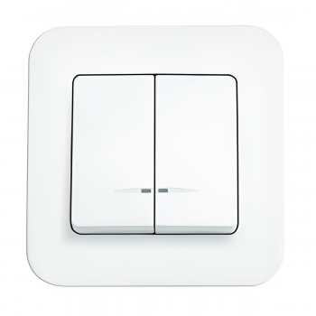 vykljuchatel-so-skrytojj-ustanovkojj-s-podsvetkojj-viko-belyjj-dvukhklavishnyjj-rollina-90420050