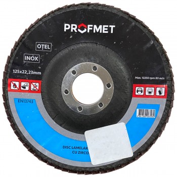 Disc lamelar pentru metal/lemn Profmet (325100) 125x22,2 mm M100